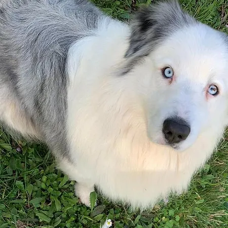 Montagne Verdi بيت ضيافة